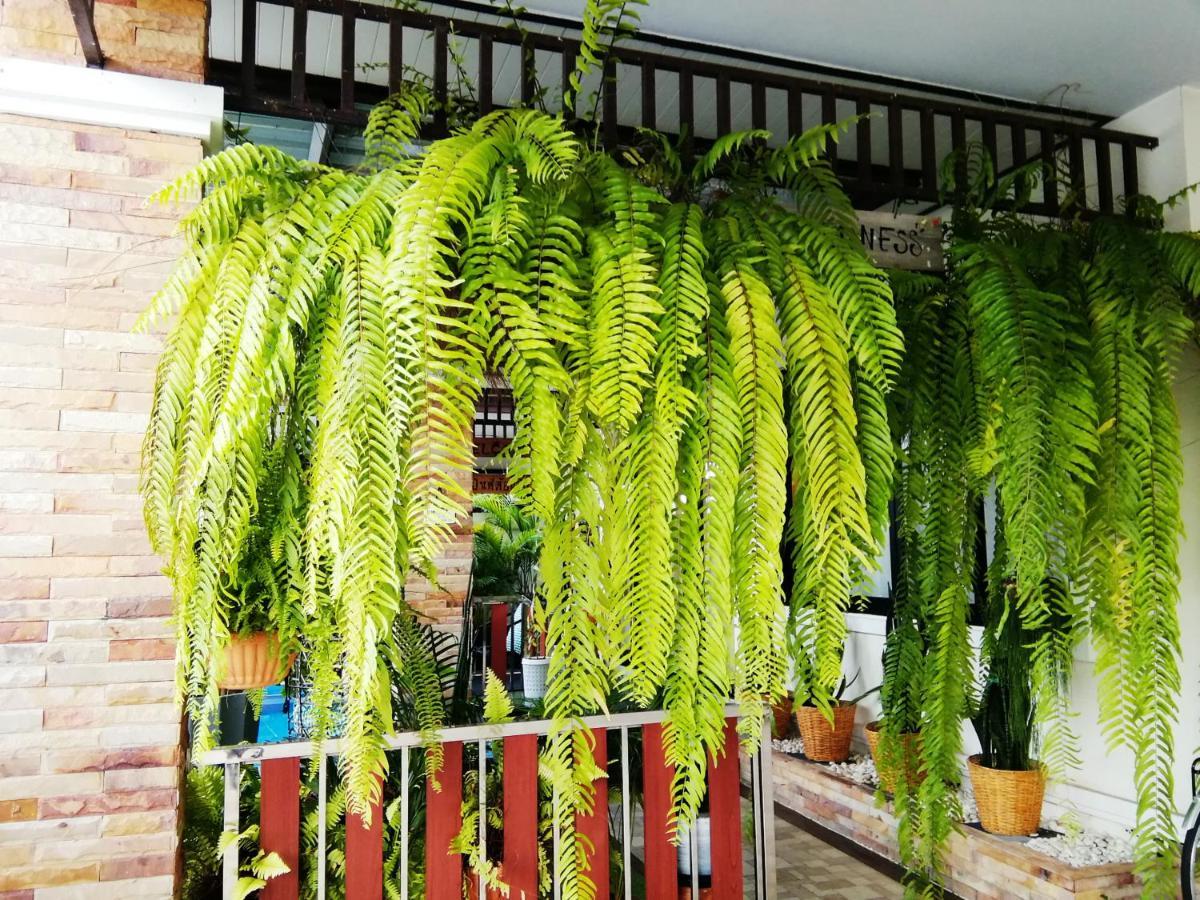 Wilderness Bed and Breakfast Ban Chang  Buitenkant foto