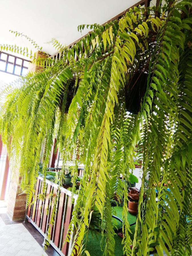 Wilderness Bed and Breakfast Ban Chang  Buitenkant foto